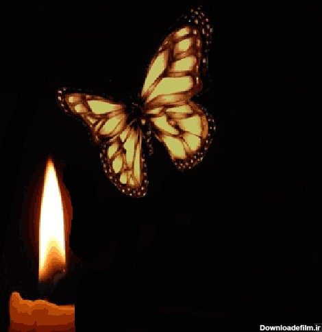 عکس شمع و پروانه زیبا