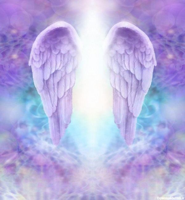 عکس بال فرشته نمایانگر بهشت زیبا خداوند مناسب پروفایل