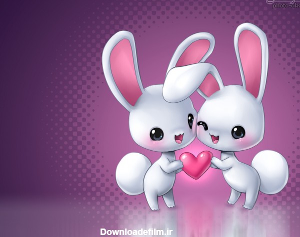والپیپر عاشقانه خرگوش ها love funny rabbits