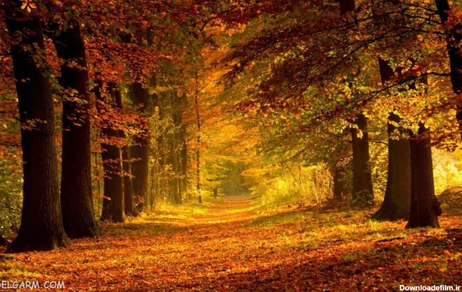 77 عکس زیبا و رویایی پاییز برای بک گراند و پروفایل