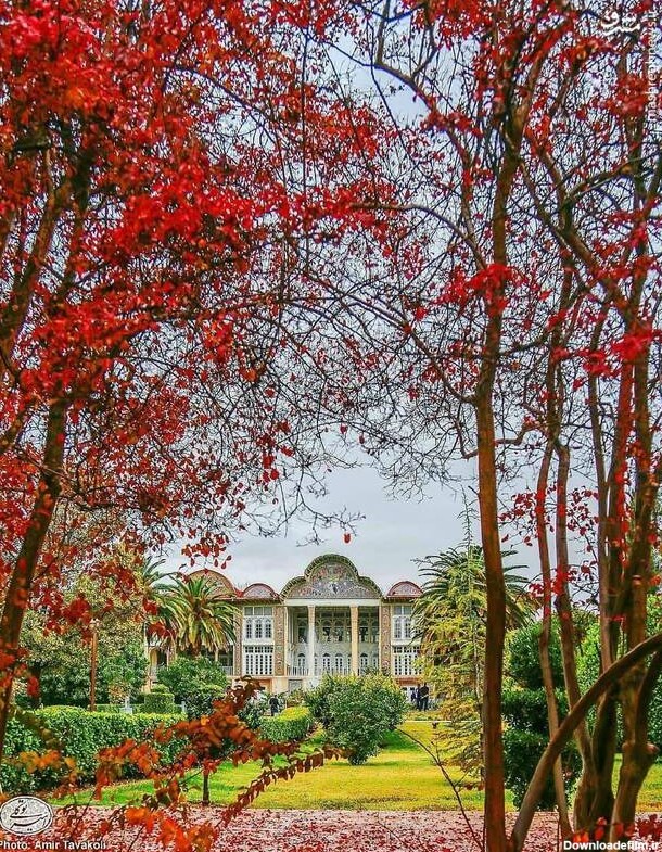 تصویر پائیزی از باغ ارم شیراز - تابناک | TABNAK