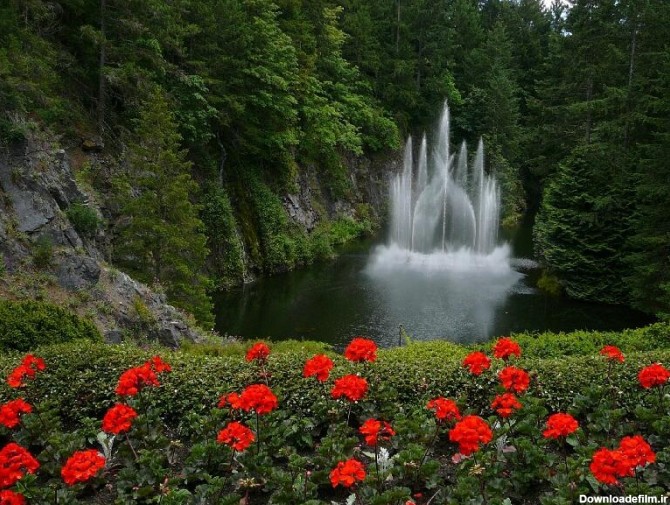 زیباترین باغ های گل در دنیا + عکس | لست‌سکند