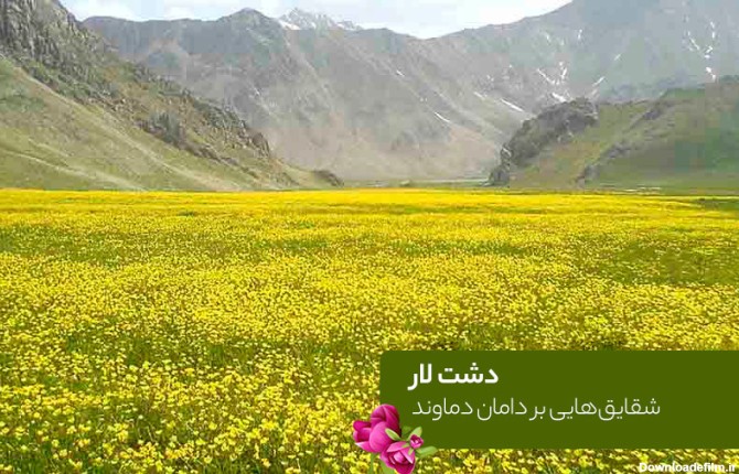 دشت لار دماوند - راهنمای سفر به نزدیک ترین دشت شقایق به تهران ...
