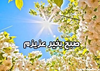 جملات سلام صبح بخیر تابستانی + متن های کوتاه و گرم صبح بخیر رسمی و ...