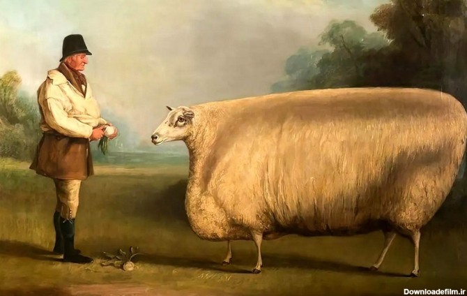 فرارو | (تصاویر) راز گاو و گوسفند‌های «مستطیلی» در این نقاشی‌های ...