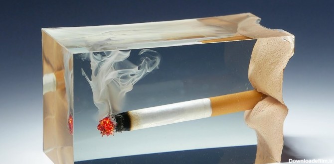 سیگار با ریه چه می کند؛ تغییر باورنکردنی طی 30 سال/ همه چیز ...