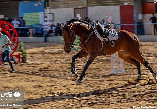 مشرق نیوز - عکس/ مسابقات سوارکاری پرش با اسب در فارس