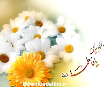 عکس تولد فاطمه زهرا