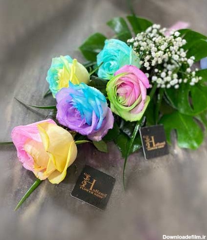 دسته گل رز رنگ پاستیلی | گل های رز با کیفیت با رنگ خاص