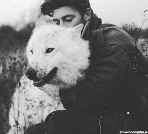 عکس پسرانه با گرگ
