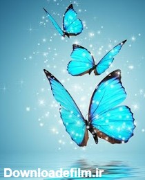 دانلود برنامه پس زمینه زنده پروانه Butterfly Live Wallpaper 13 اندروید