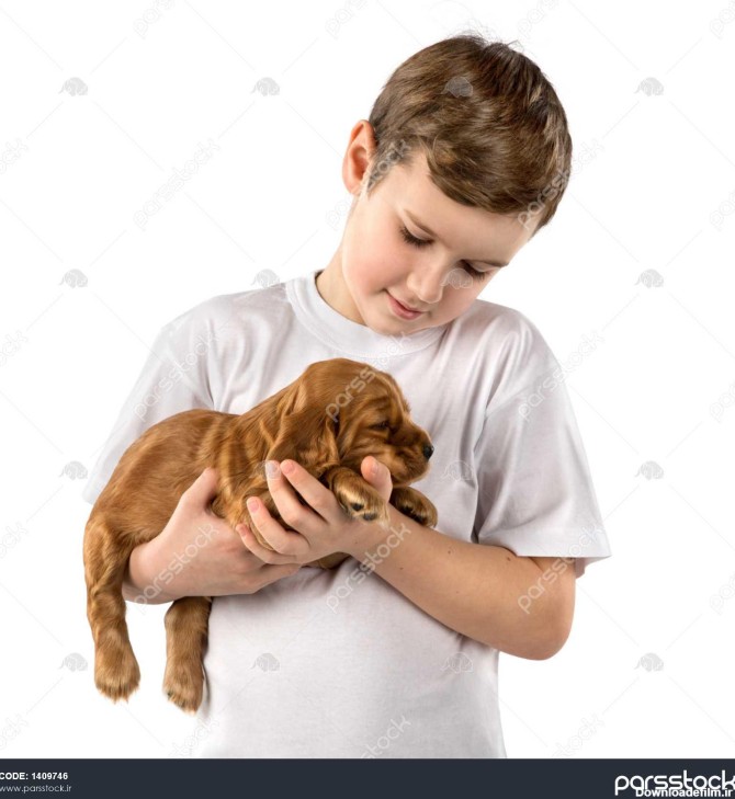 پسر با توله سگ قرمز جدا شده بر روی زمینه سفید بچه دوست ...