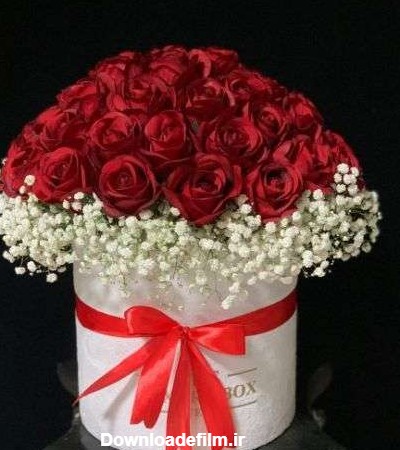باکس گل رز قرمز برای خواستگاری a263 09129410059- ارسال گل در محل ...