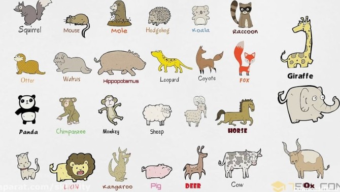 آموزش اسامی حیوانات و حشرات در انگلیسی