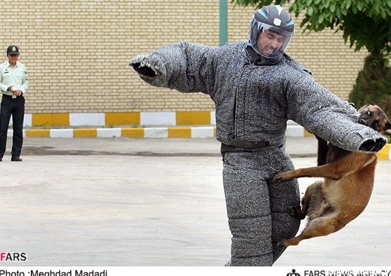 تصاویر:حمله سگهای آدم خوار به مامور ناجا