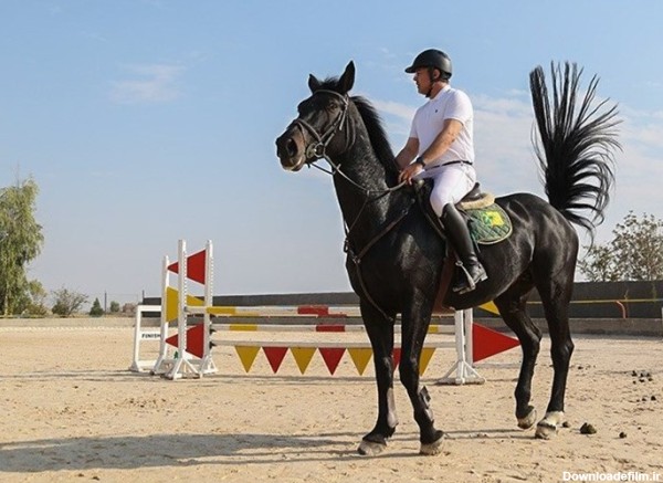مسابقات پرش با اسب در قم به روایت تصویر - تسنیم