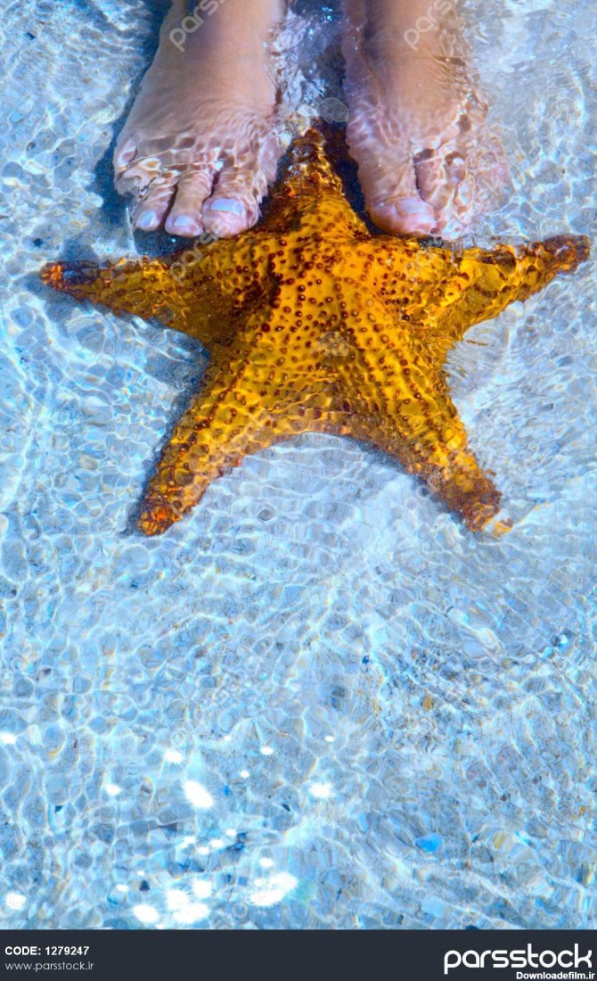 هنر پاهای زن زیبا و ستاره دریایی در ساحل دریا 1279247