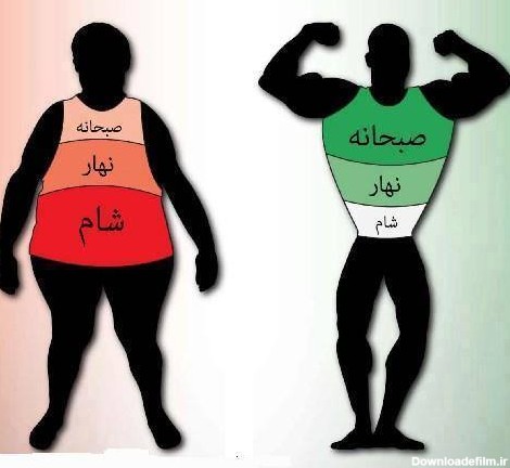 تفاوت انسانهای چاق و لاغر در این است - مرکز سرگرمی و خنــده