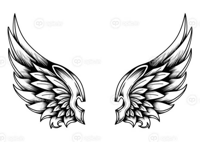 وکتور تصویر خالکوبی بال های فرشته قبیله ای | اوپیک