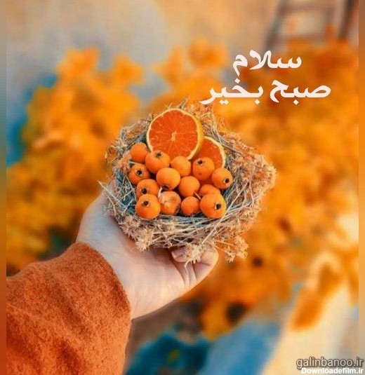 عکس نوشته زیبا برای صبح بخیر