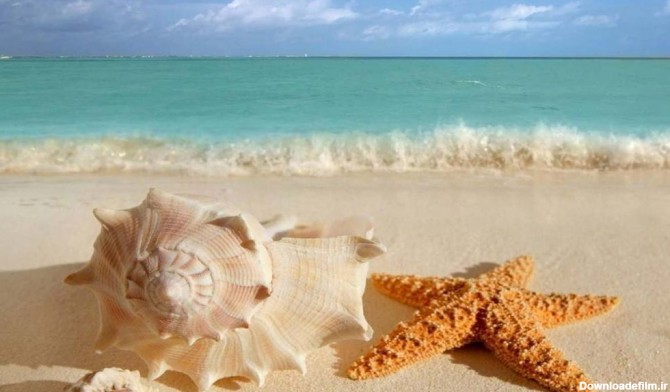 با زیباترین سواحل قشم آشنا شوید - ستاره ونک بهترین سواحل جزیره قشم
