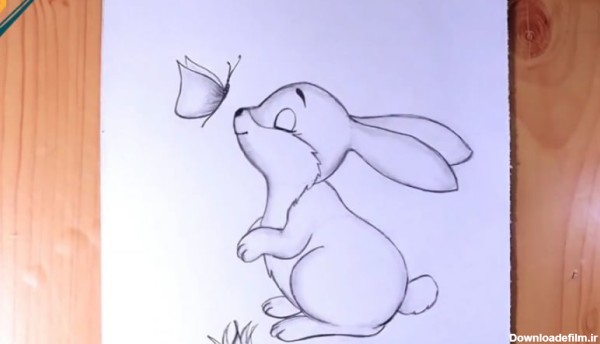 آموزش نقاشی حیوانات - طراحی خرگوش
