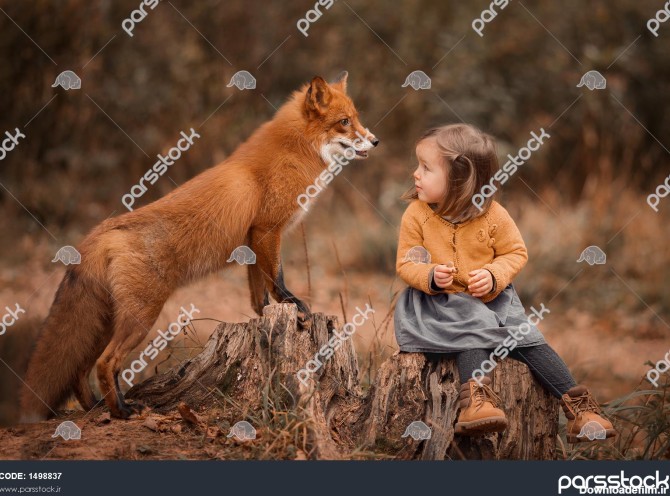 دختر کوچکی با روباه در جنگل پاییزی 1498837
