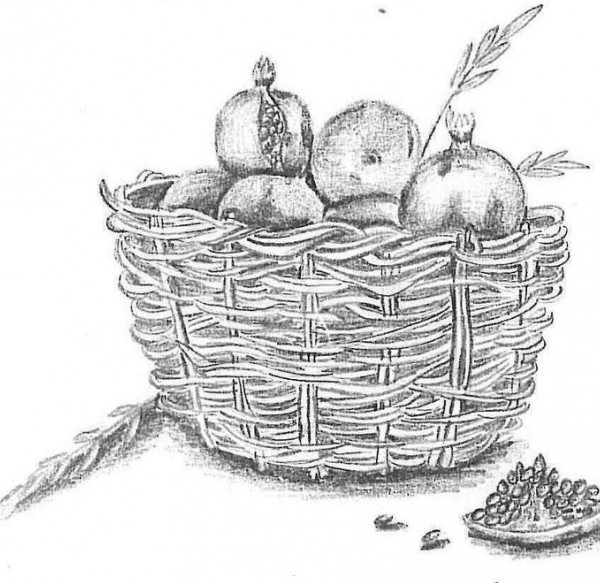 طرح نقاشی سیاه قلم میوه ❤️ [ بهترین تصاویر ]