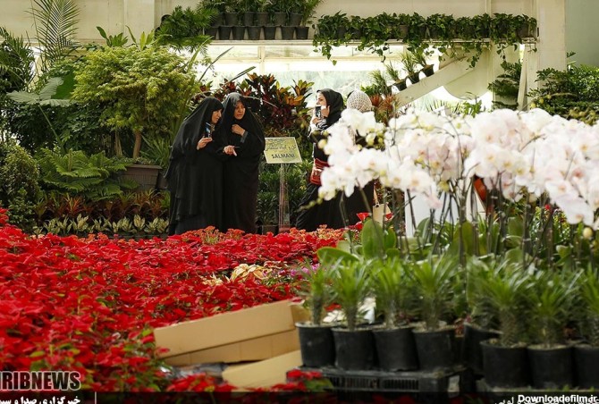 نمایشگاه گل و گیاه - بوستان گفتگو تهران (عکس)