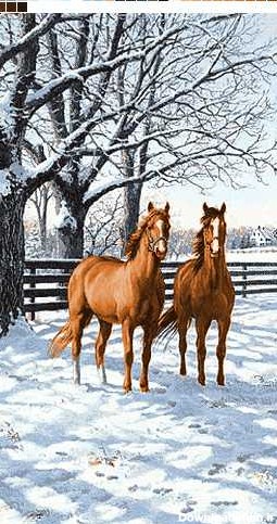 دو اسب - همیار فرش