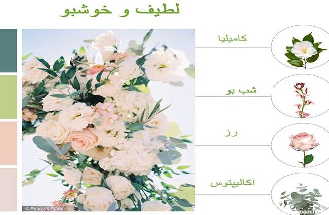 معرفی 30 گل بهاری برای دسته گل عروس(کادویی)
