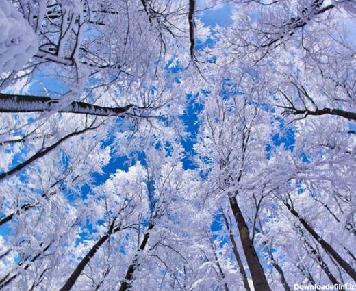 عکس های زیبا زمستانی