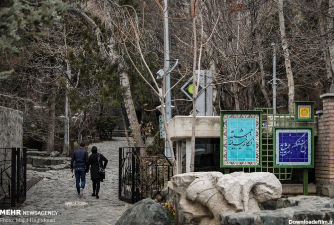 Mehr News Agency - Tehran's Jamshidieh Park on 1st day of spring