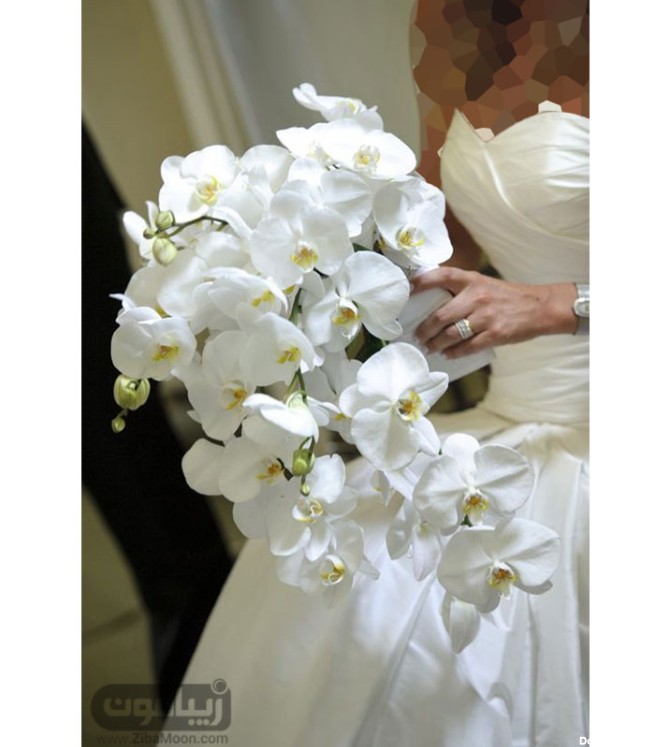 دسته گل های عروس با گل ارکیده +عکس