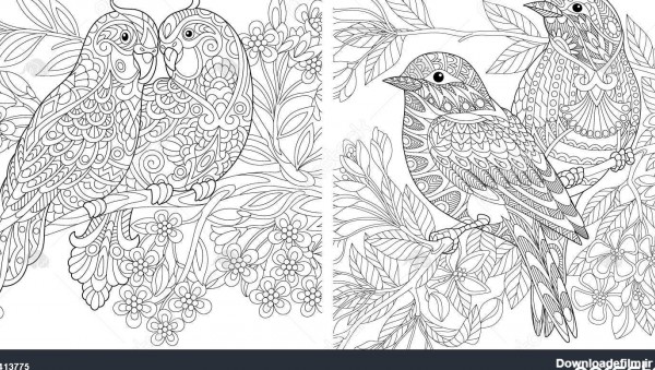صفحه نقاشی - کتاب نقاشی بزرگسالان - دو مرغ عشق و دو گنجشک در کنار ...