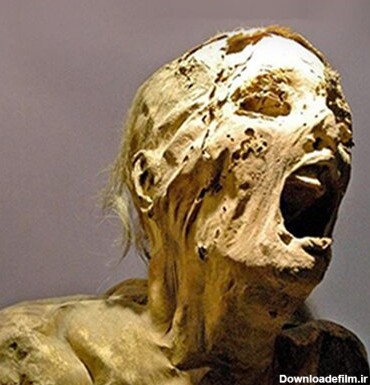 تجاوز یک مرد به مومیایی 2500ساله در موزه! + عکس