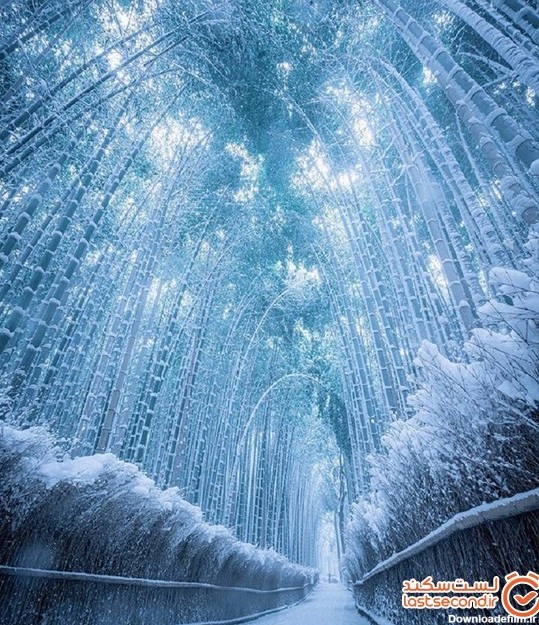 زیبایی جادویی معابد شهری عجیب در زمستانی که گذشت! +تصاویر - خبرآنلاین