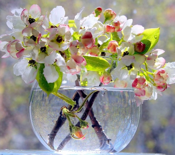 خبرآنلاین - تصاویری از گل و گلدان های فوق العاده زیبا؛ ایده ای ...