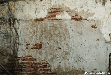 دانلود عکس دیوار آجری قدیمی با بافت پس زمینه ریشه های نشسته