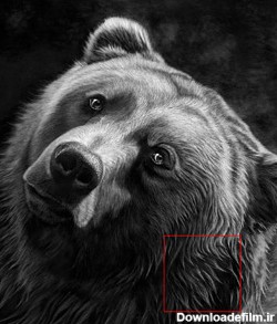 نقاشی حیوانات ✔️ | نقاشی حیوانات ساده | آموزش نقاشی حیوانات ...