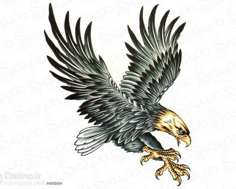 خرید و قیمت تاتو موقت عقاب طلایی شکاری tattoo-hsg-33 | ترب
