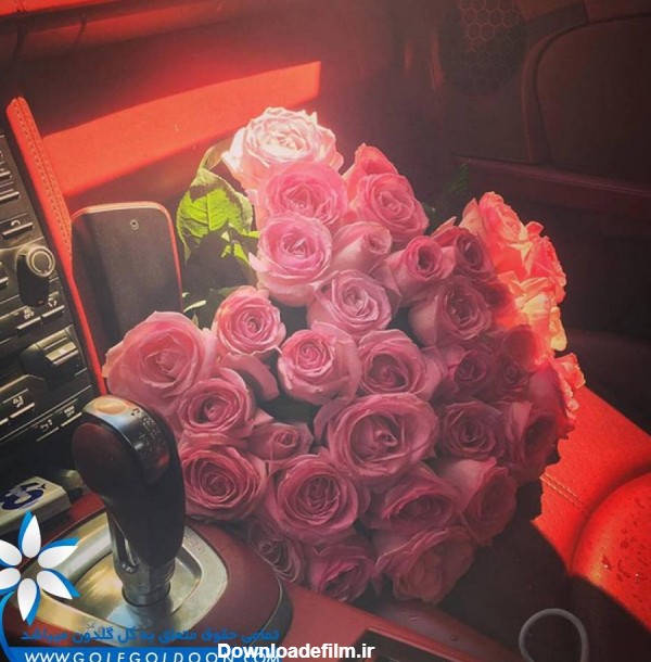 عکس گل رز داخل ماشین