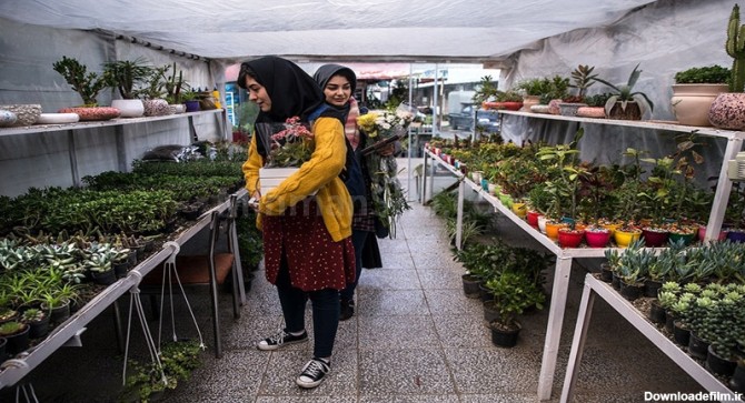 بازارهای گل تهران نمایشگاه‌های دائمی گل و گیاه در پایتخت ...