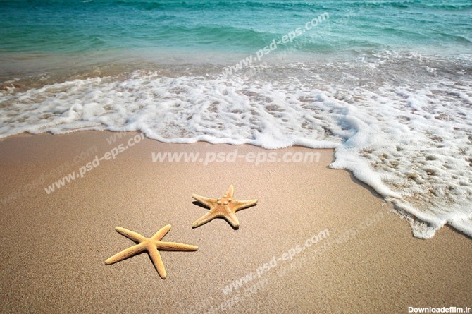 عکس با کیفیت ساحل ماسه ای دریا با موج آرام آب د دو ستاره دریایی ...