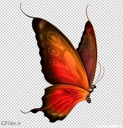 فایل دوربری شده کارتونی پروانه قهوه ای قرمز (Red and Brown Transparent Butterfly Clipart)