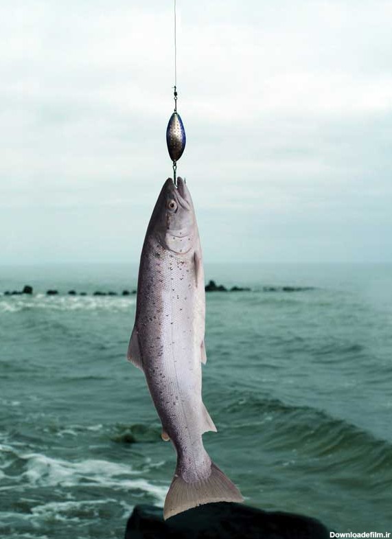 تصویر با کیفیت ماهیگیری با قلاب | تیک طرح مرجع گرافیک ایران