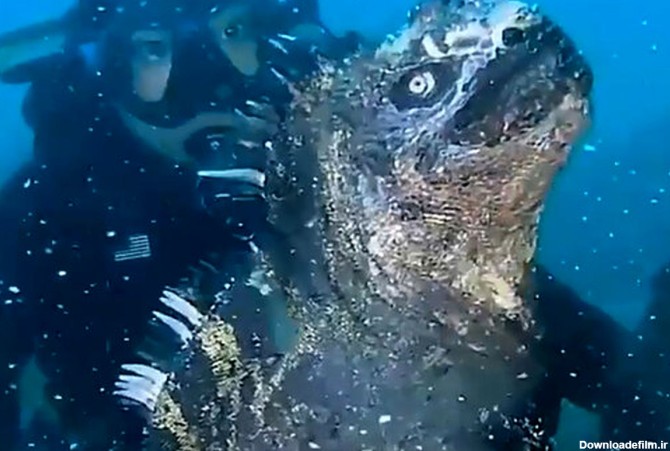 چهره ترسناک گودزیلای کوچک در عمق اقیانوس