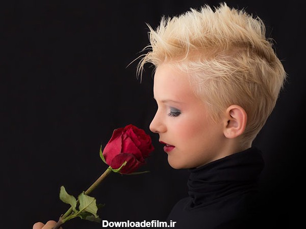 عکس پروفایل گل عاشقانه , عکس گل رز سرخ