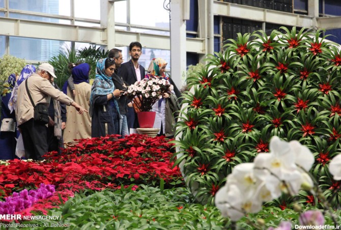 خبرآنلاین - تصاویر | هفدهمین نمایشگاه بین‌المللی گل و گیاه در تهران