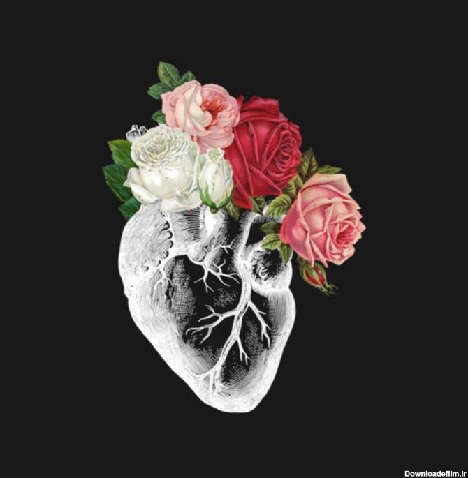 قیمت و خرید کاشی طرح تصویر سازی قلب و گل رز کد 2528454